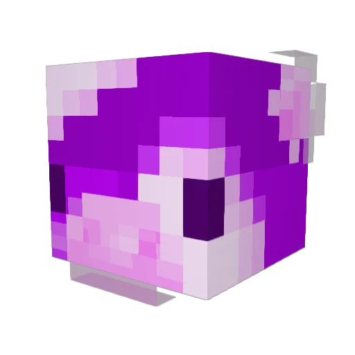 Fabi_N93 Minecraft avatar head, 3D render
