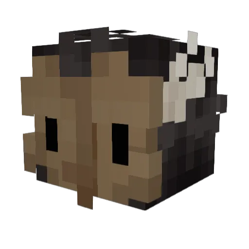 Fabi_li Minecraft avatar head, 3D render