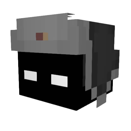 Fabian0199 Minecraft avatar head, 3D render