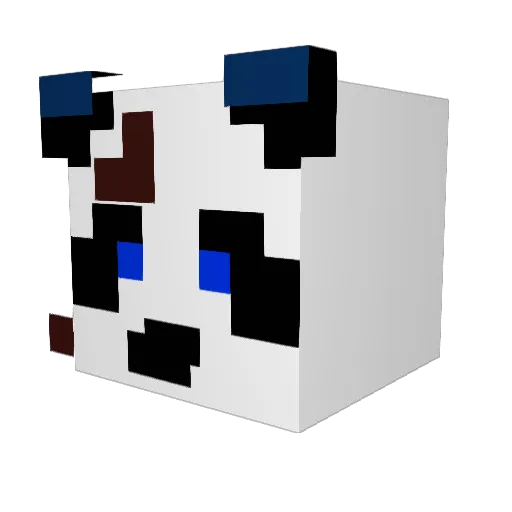 Fabian07 Minecraft avatar head, 3D render
