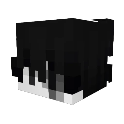 Fabian8029 Minecraft avatar head, 3D render