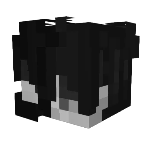 FabianSgx Minecraft avatar head, 3D render