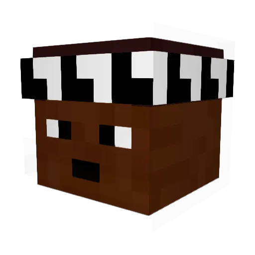 FabianSnagsBeds Minecraft avatar head, 3D render