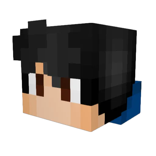 Fabian_2405 Minecraft avatar head, 3D render