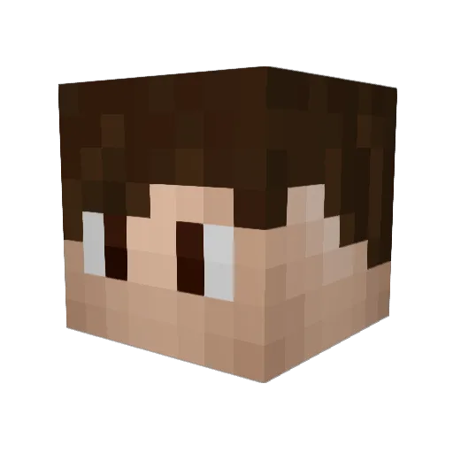 Fabian_64 Minecraft avatar head, 3D render