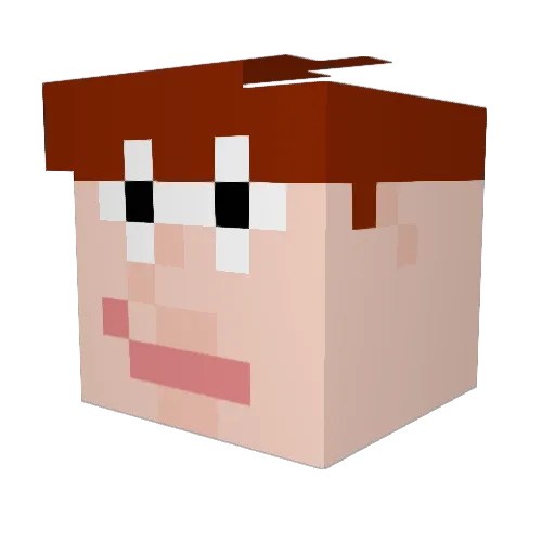 Fabian______ Minecraft avatar head, 3D render