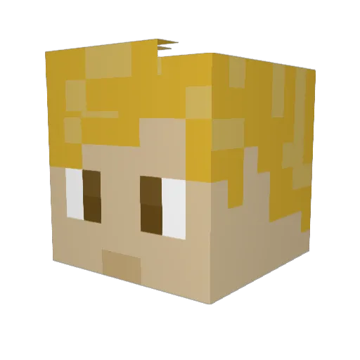 Fabibraunwarth Minecraft avatar head, 3D render