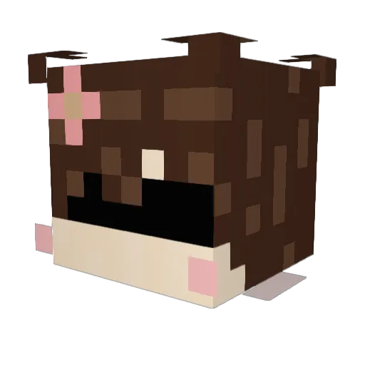 Fabich666 Minecraft avatar head, 3D render