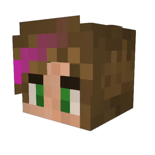 Fabidevries1999 Minecraft avatar head, 3D render