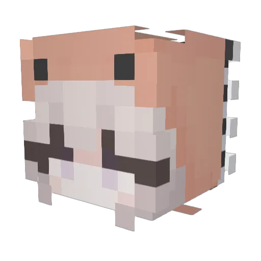 Fabii18 Minecraft avatar head, 3D render