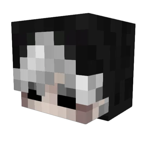 Fabii_z Minecraft avatar head, 3D render