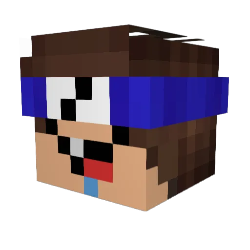 Fabiim01 Minecraft avatar head, 3D render