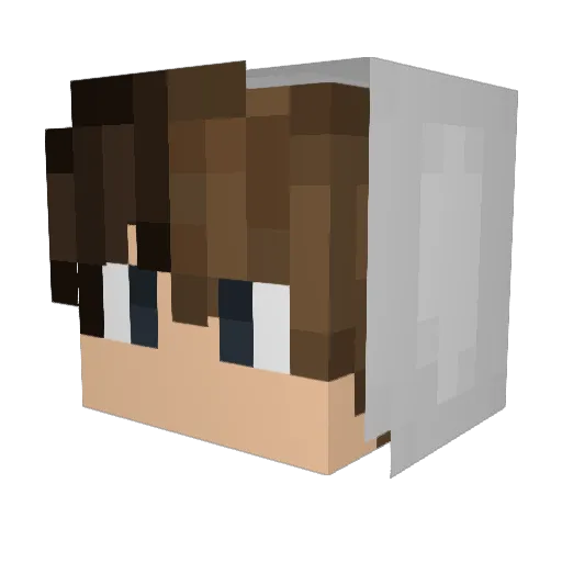 Fabimas Minecraft avatar head, 3D render
