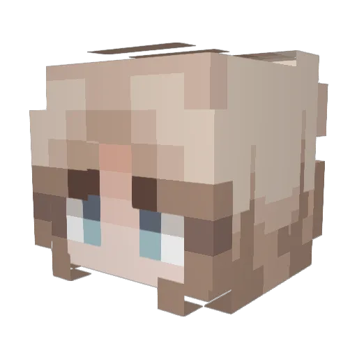 Fabingy Minecraft avatar head, 3D render