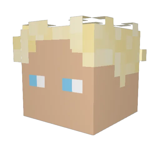 FabioBanani Minecraft avatar head, 3D render