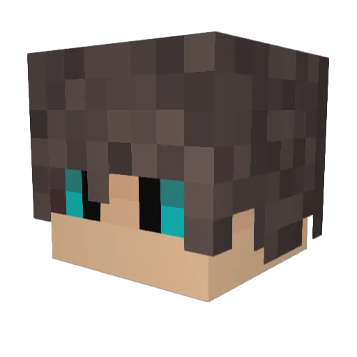 FabioGamer19196 Minecraft avatar head, 3D render