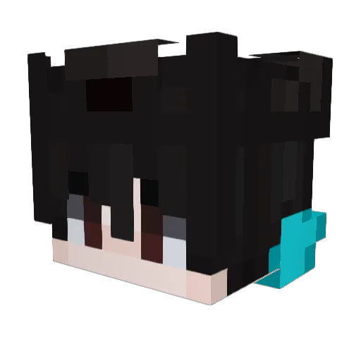 FabioIlPro Minecraft avatar head, 3D render