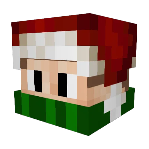 Fabioeschw Minecraft avatar head, 3D render