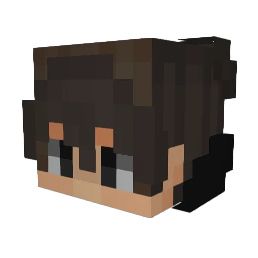 Fabis21 Minecraft avatar head, 3D render