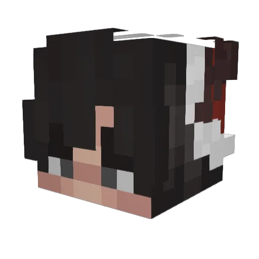 Fabischi Minecraft avatar head, 3D render