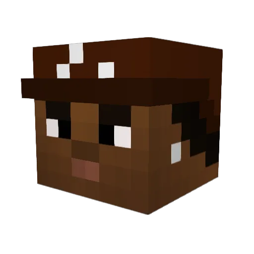FabiusEffe Minecraft avatar head, 3D render