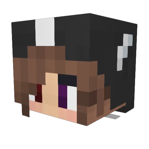 Fabixn_rxx Minecraft avatar head, 3D render
