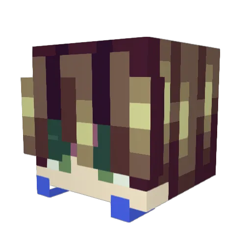 FableCookie Minecraft avatar head, 3D render