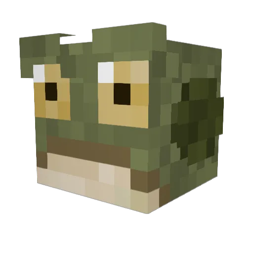 FabledFishington Minecraft avatar head, 3D render