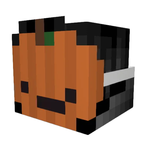 Fabri_2 Minecraft avatar head, 3D render