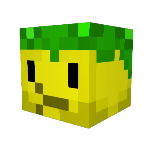 FabricOfReality Minecraft avatar head, 3D render