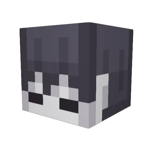 Fabriiiii_ Minecraft avatar head, 3D render