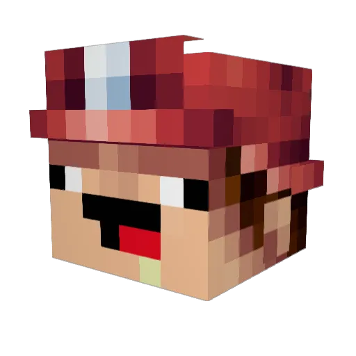 Fabry717 Minecraft avatar head, 3D render