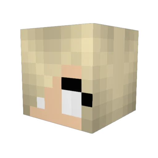 Fabryce013 Minecraft avatar head, 3D render