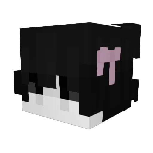 Fabs15 Minecraft avatar head, 3D render