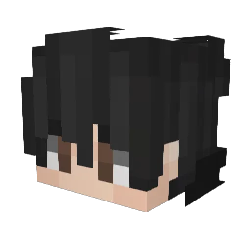 Fabs22 Minecraft avatar head, 3D render