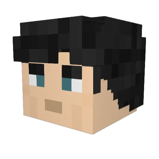 Fabs99 Minecraft avatar head, 3D render