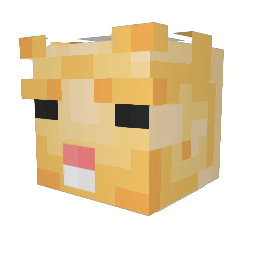 Fabs_Ks Minecraft avatar head, 3D render