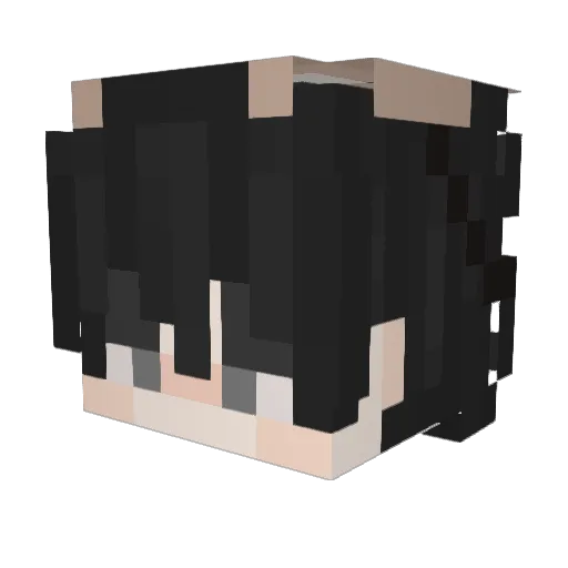 FabselTv Minecraft avatar head, 3D render
