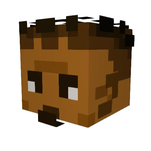 FabsonX Minecraft avatar head, 3D render