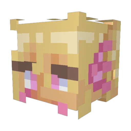 FabulousChrome Minecraft avatar head, 3D render