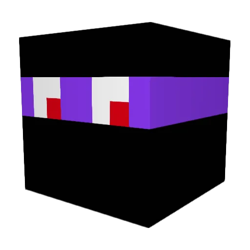 FabulousNinja Minecraft avatar head, 3D render