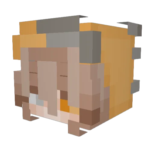 Fabulous_Giraffe Minecraft avatar head, 3D render
