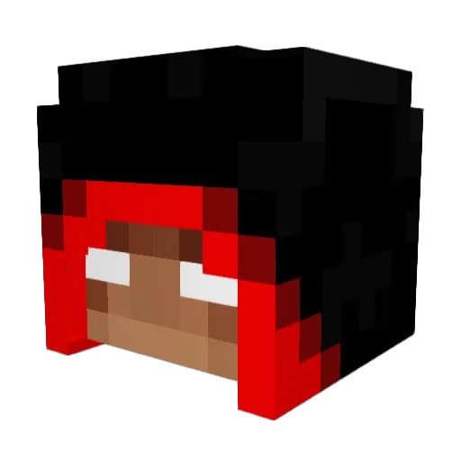 Fabulous_Pirate Minecraft avatar head, 3D render