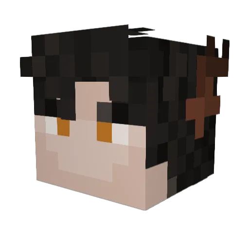 Fabyskan Minecraft avatar head, 3D render