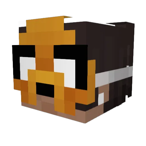 FacGhostAlt Minecraft avatar head, 3D render