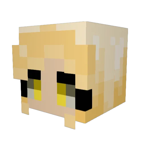 FaceBookFriends Minecraft avatar head, 3D render