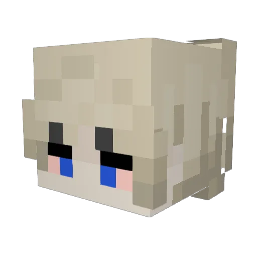 Face_The_Facts Minecraft avatar head, 3D render