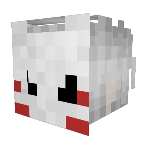 Facele55 Minecraft avatar head, 3D render