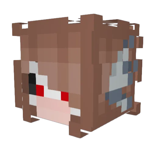 Faceless489 Minecraft avatar head, 3D render