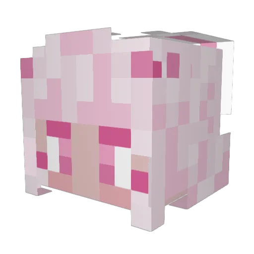 Faceless_Lee Minecraft avatar head, 3D render